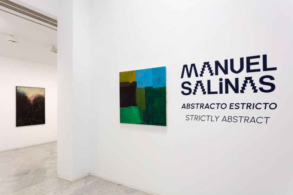 Manuel Salinas