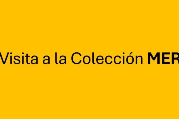 Colección MER